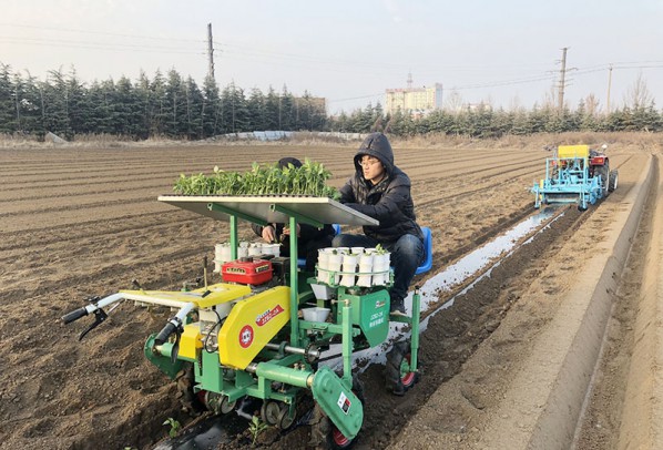 自走式辣椒移栽機(jī)