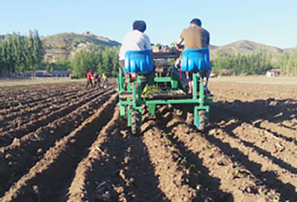 甜菜移栽機(jī)